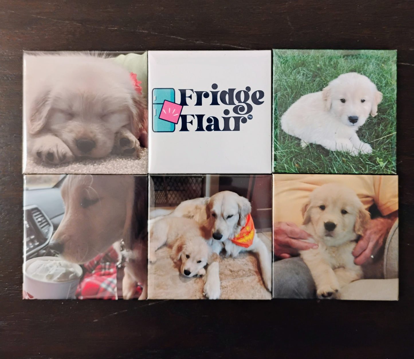 2"x2" Custom Photo Magnets (Square)
