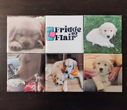 2"x2" Custom Photo Magnets (Square)